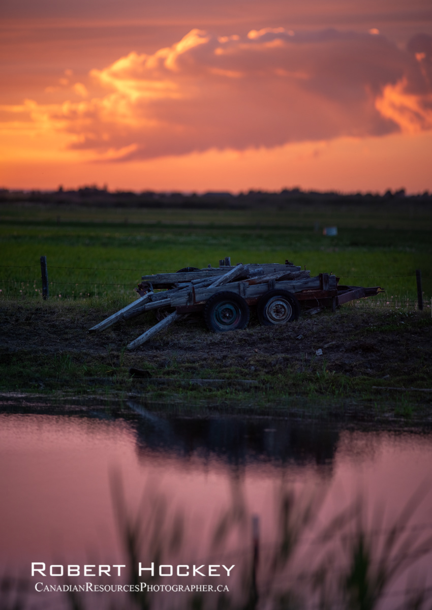 The Pond 1 - Picture 113