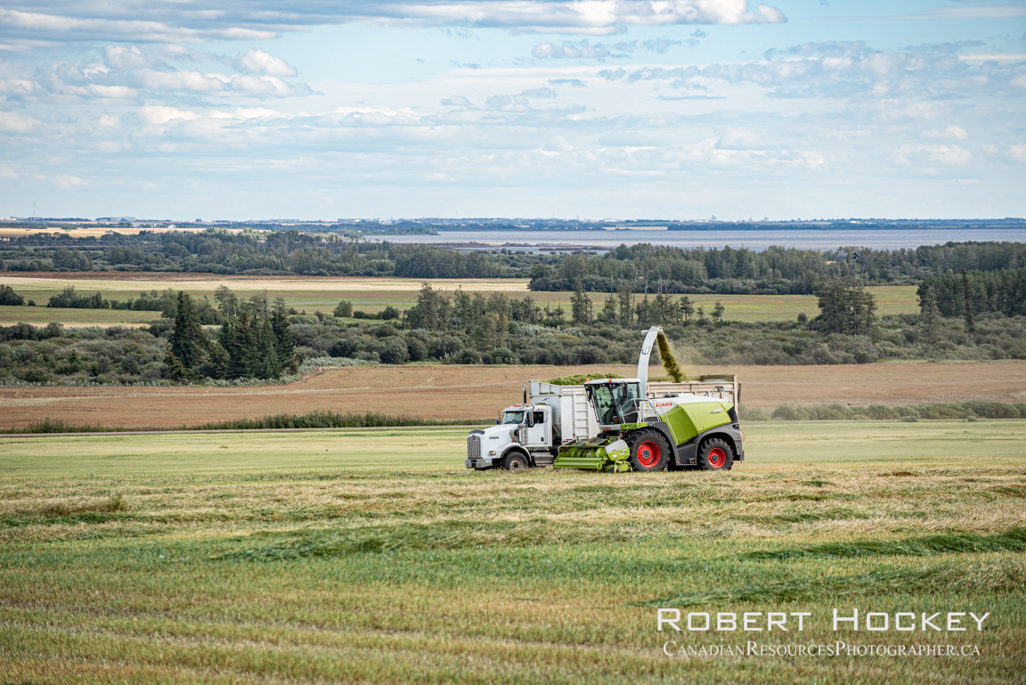Picking up Silage