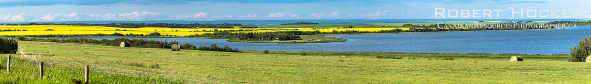 Saskatoon Lake Farms, Pan - Picture 50