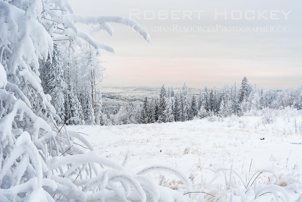 Forever Winter - Picture 65