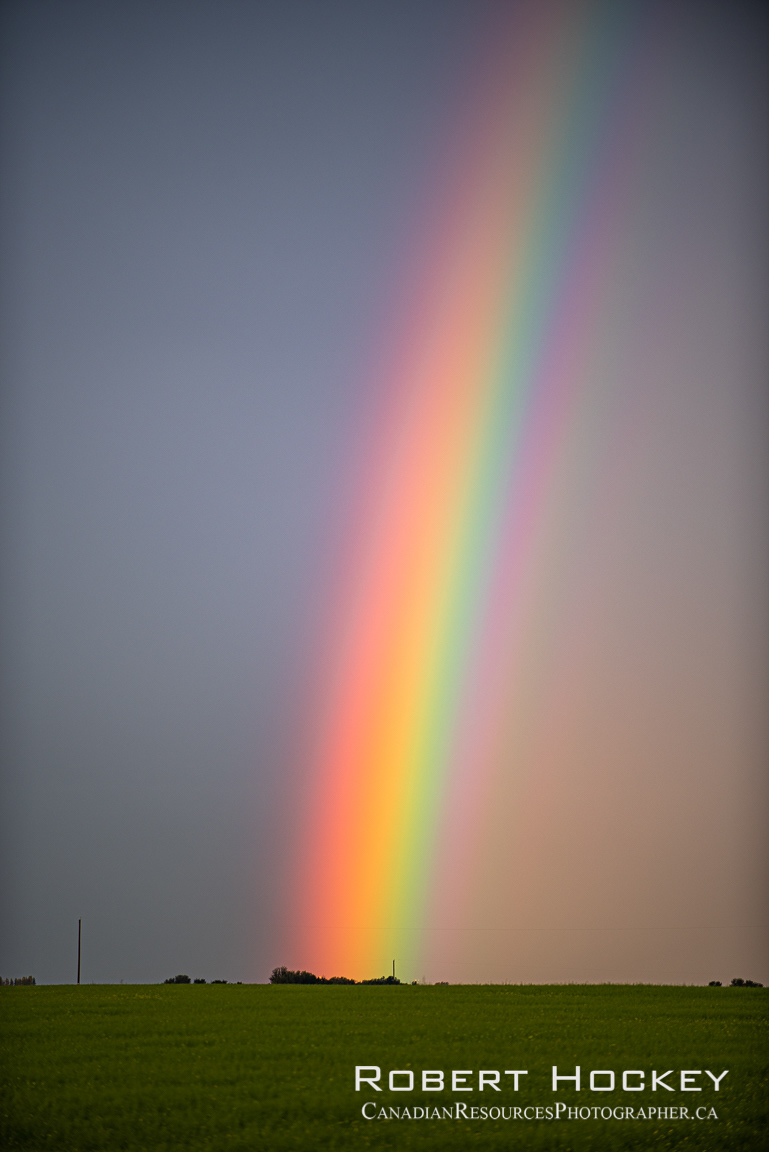 Big Rainbow - Picture 176