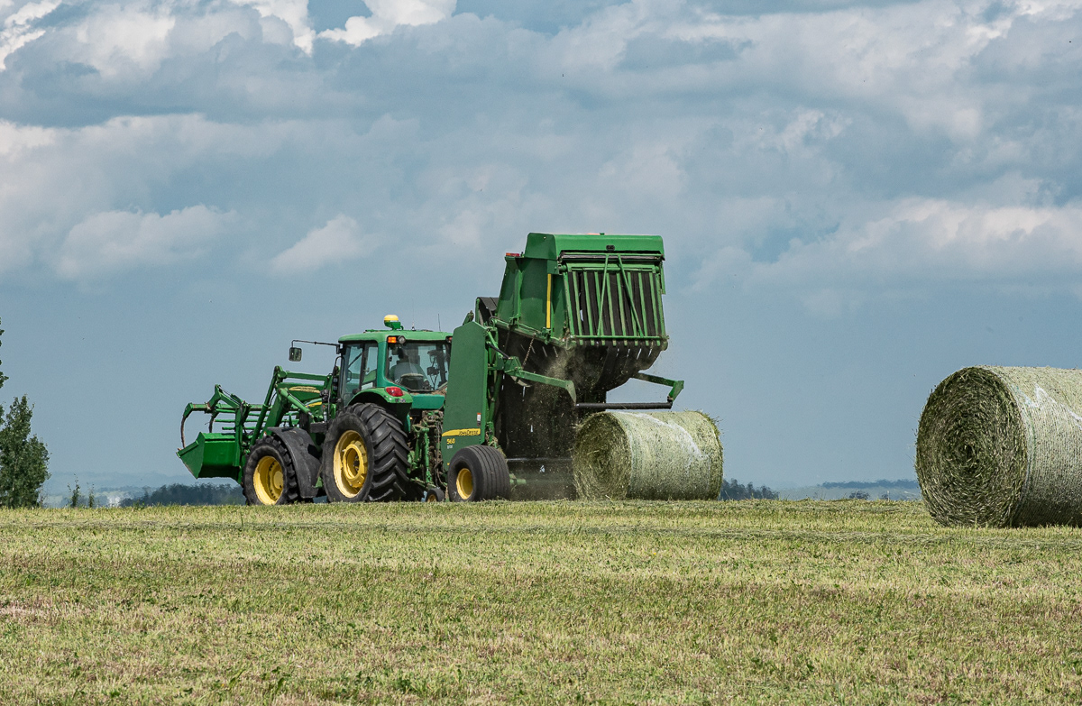 Unloading Fresh Bail, Grande Prairie, AB.