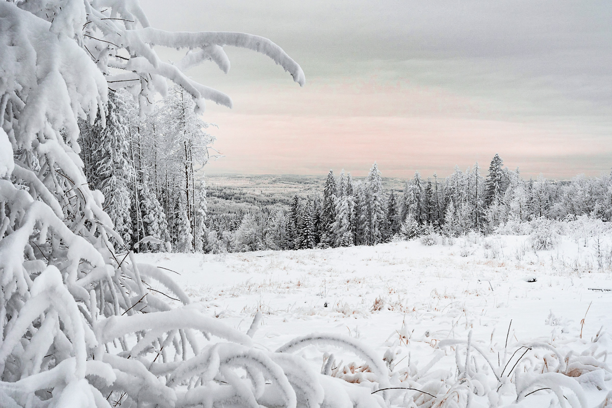 Hore Frost after -47˚C