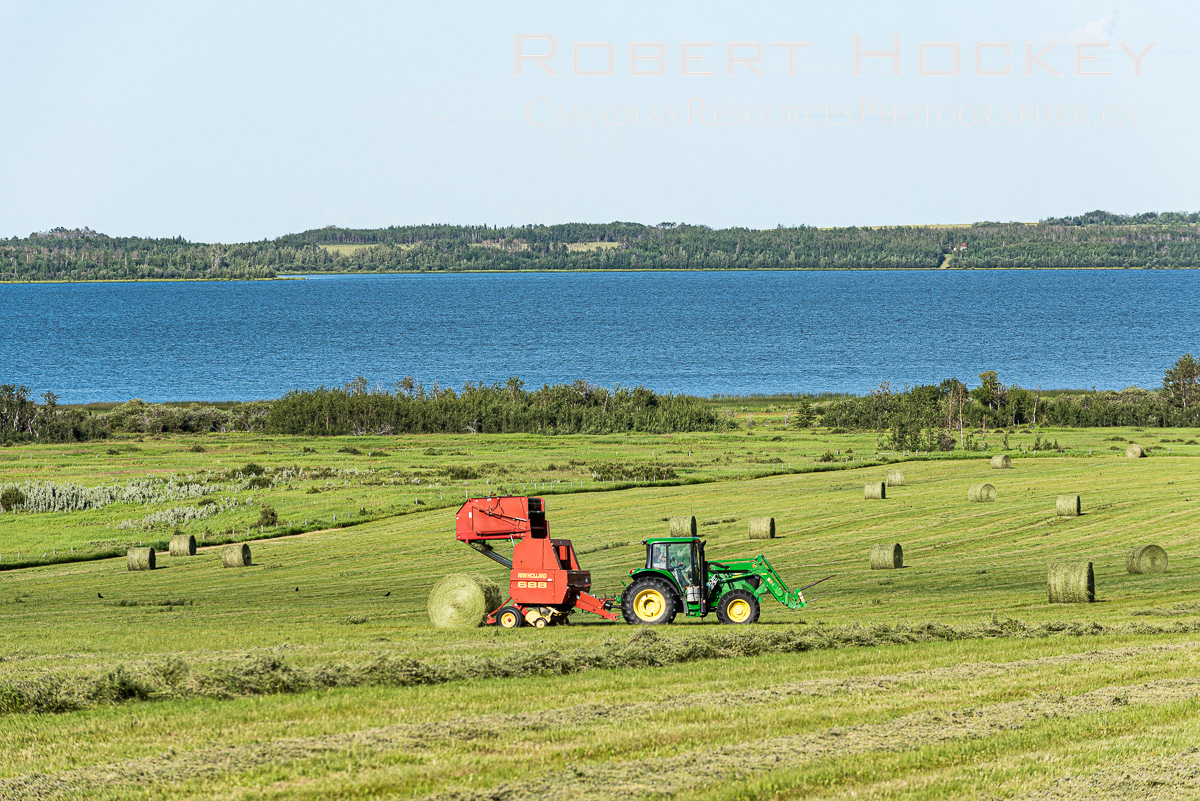 Saskatoon Lake Farms, Bailing - Picture 51