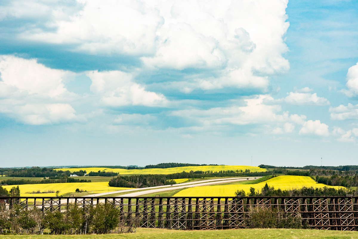 Bridges, Sanguto, AB