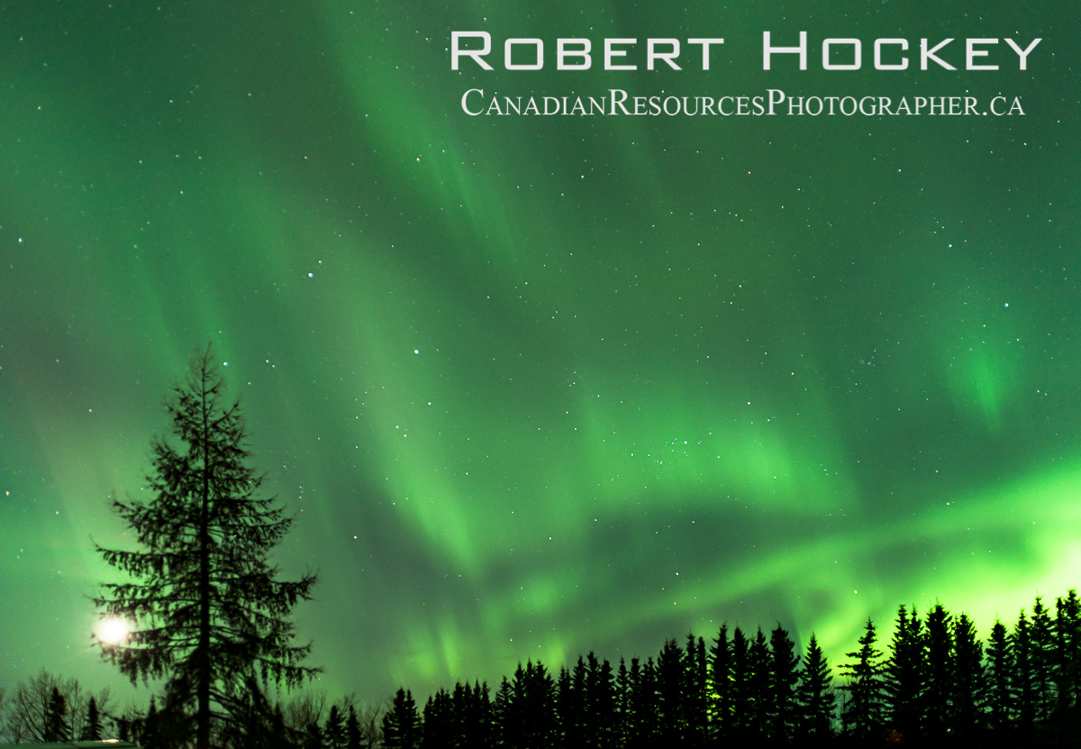 Northern Lights - Picture 33