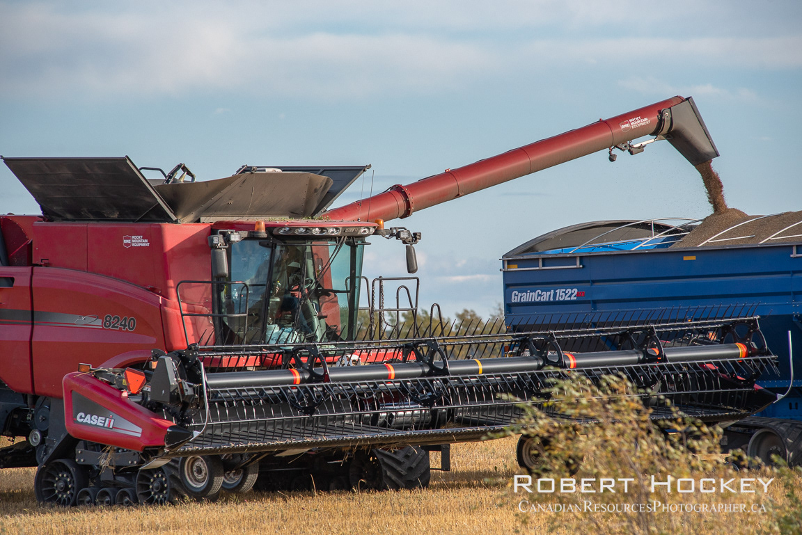 Combine transfering his load