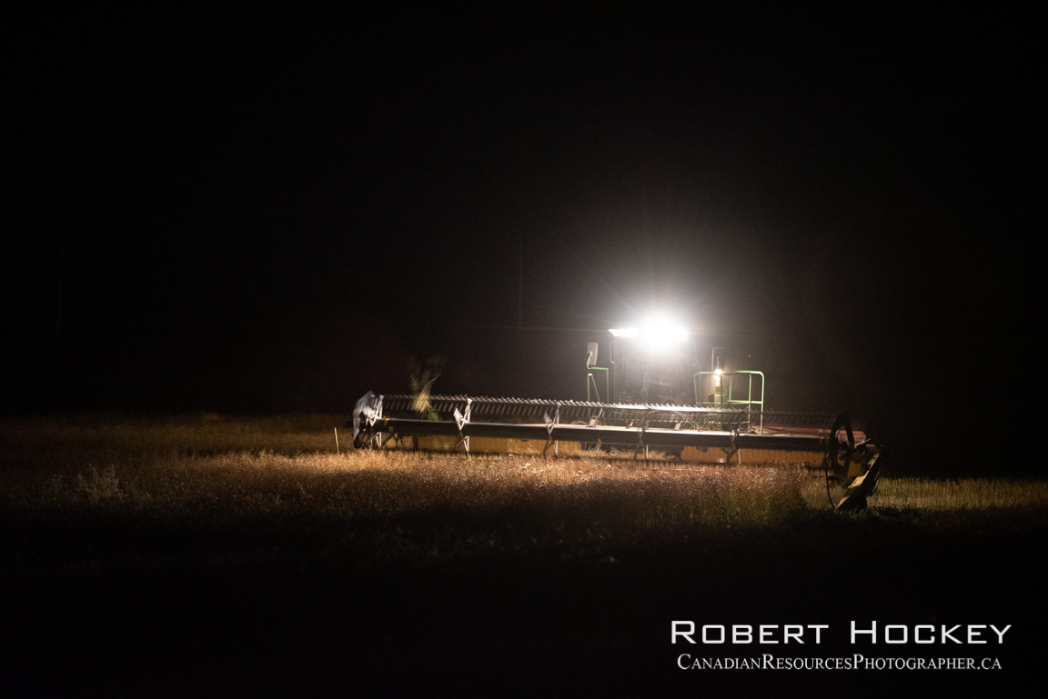 Canola Harvest