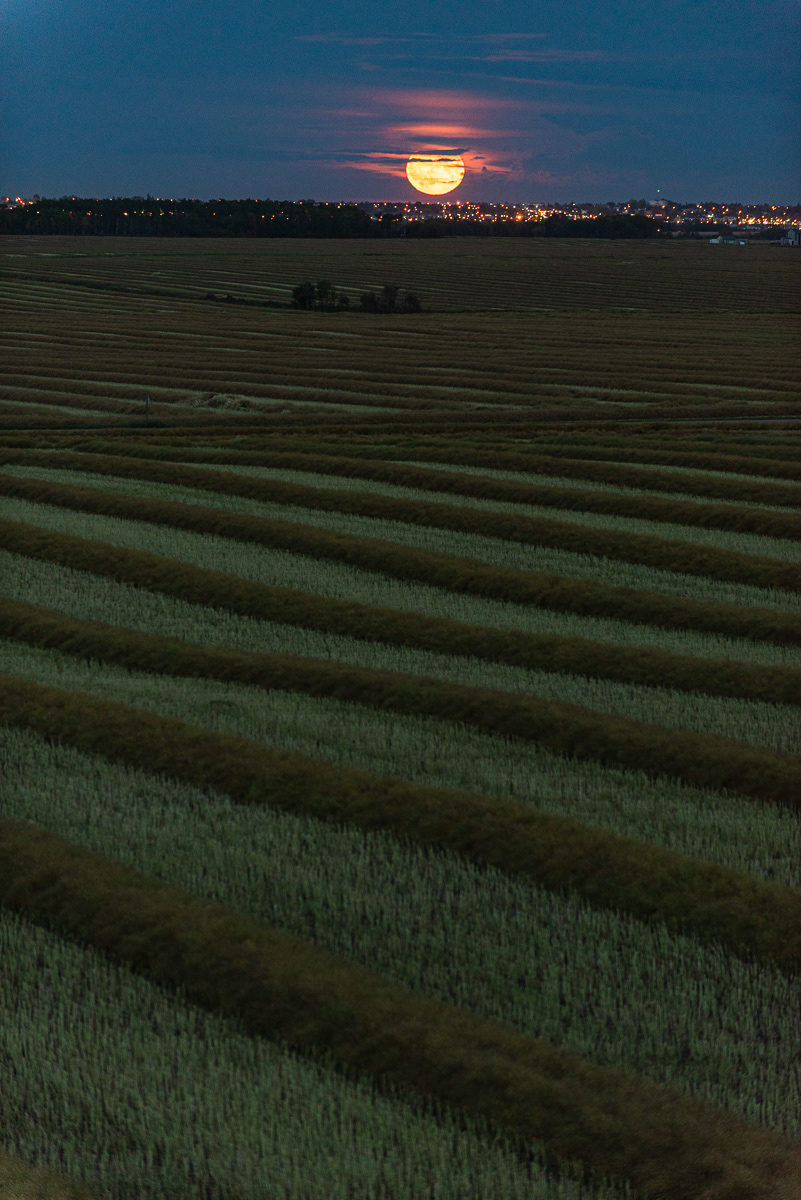 Farming, Harvest Moon, Grande Prairie, AB