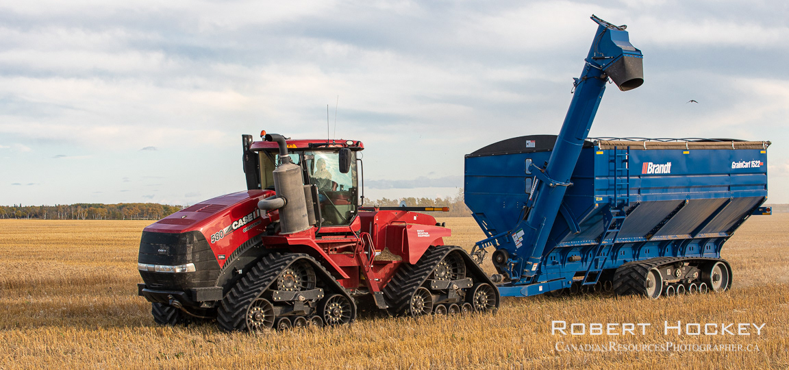 Headed for supper after uploading to grain truck - Picture 165