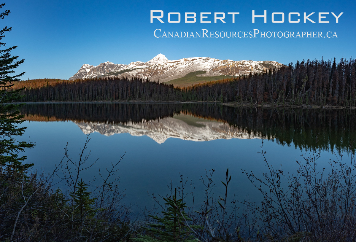 Leach Lake, Jasper - Picture 39