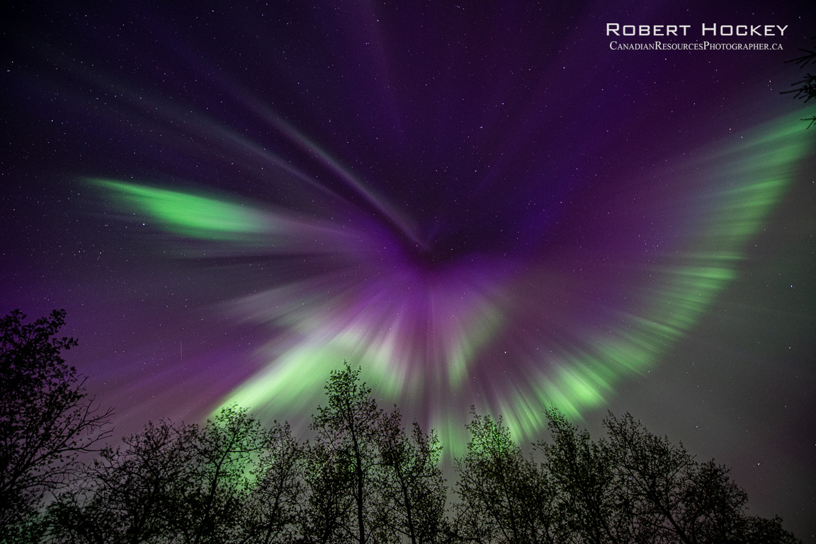 Neighbourhood Aurora - Picture 223