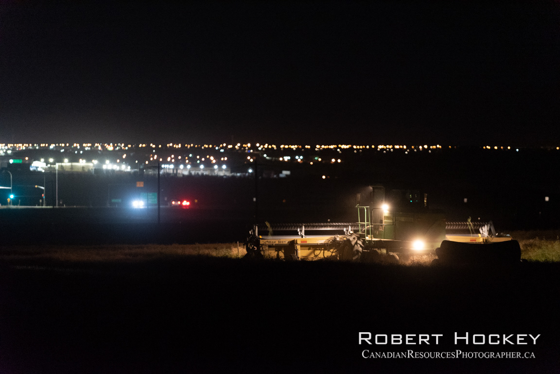Swathing Canola 4 - Picture 121