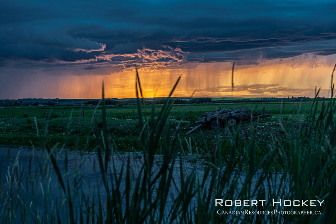 The Pond Before The Rain Arrives - 179