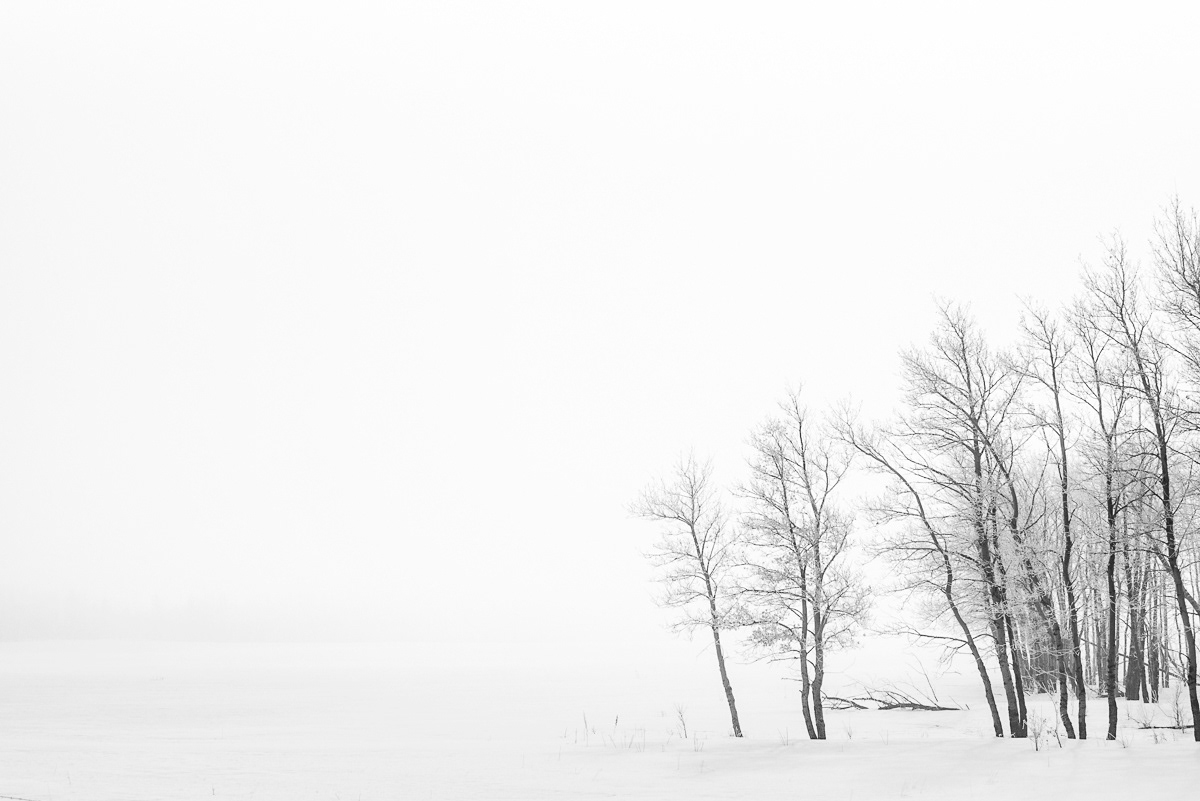 -25˚ Fog