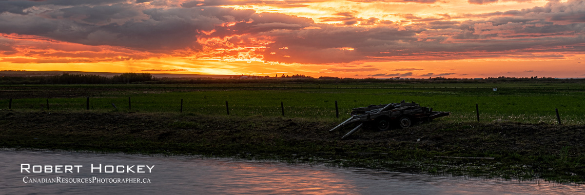 The Pond 2 - Picture 114