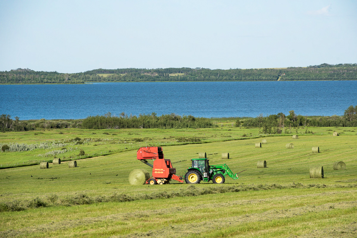 Bailing Hay, Saskatoon Lake, AB