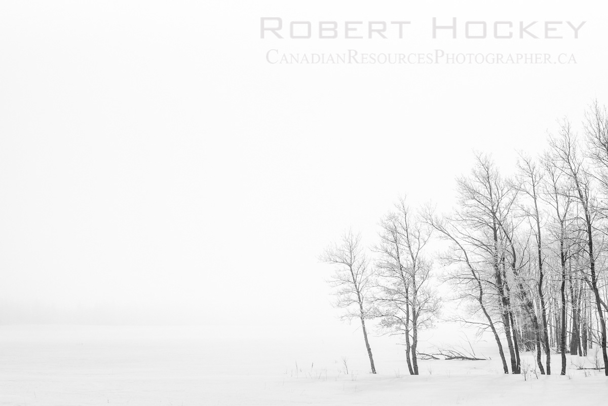 Winter Serenity In Fog, -27˚C - Picture 27