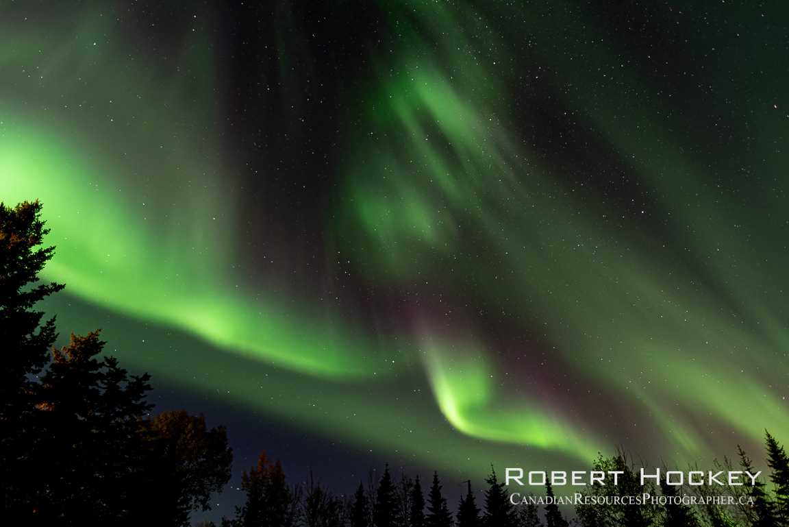 Aurora at home - Picture 199