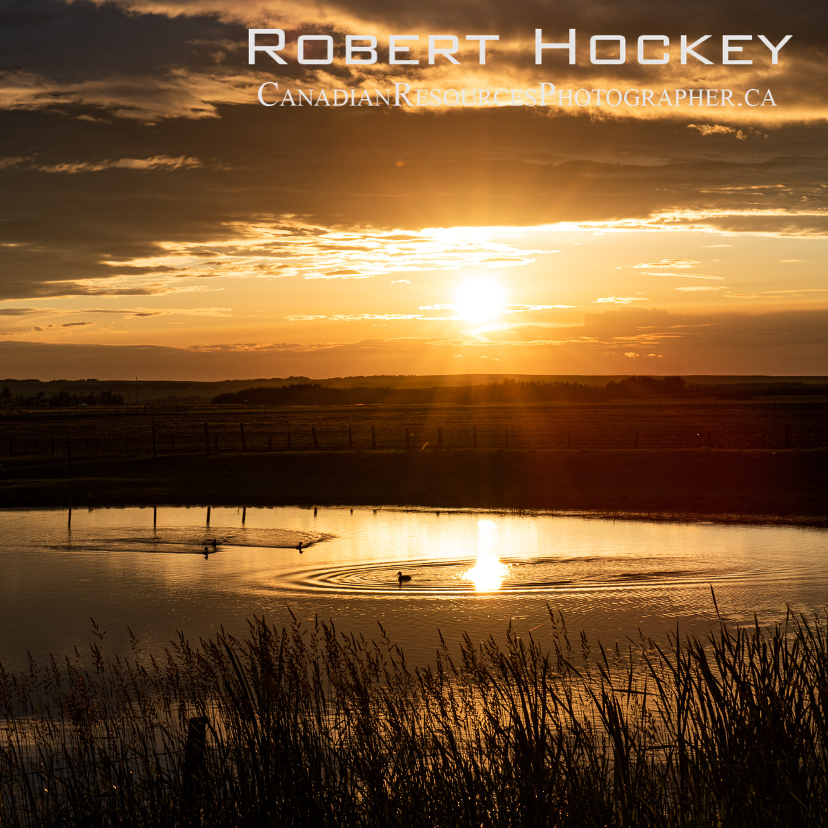 The Pond 4 - Picture 116