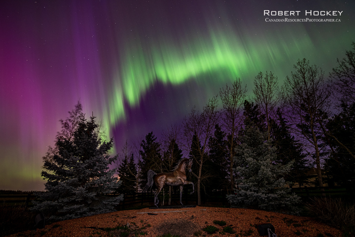 Neighbourhood Aurora - Picture 221