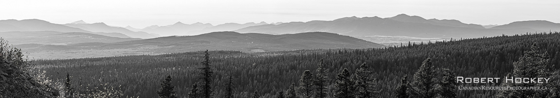 Dinner Mountain View Picture 182