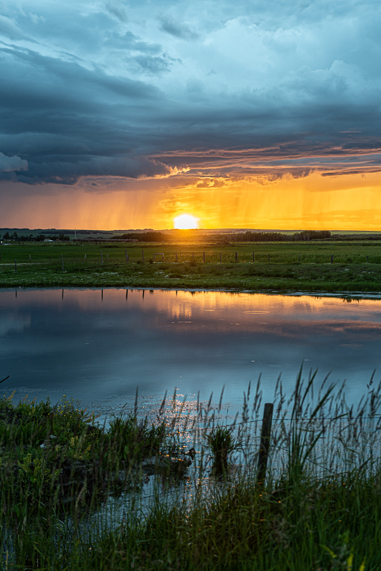 The Pond 3 - Picture 115