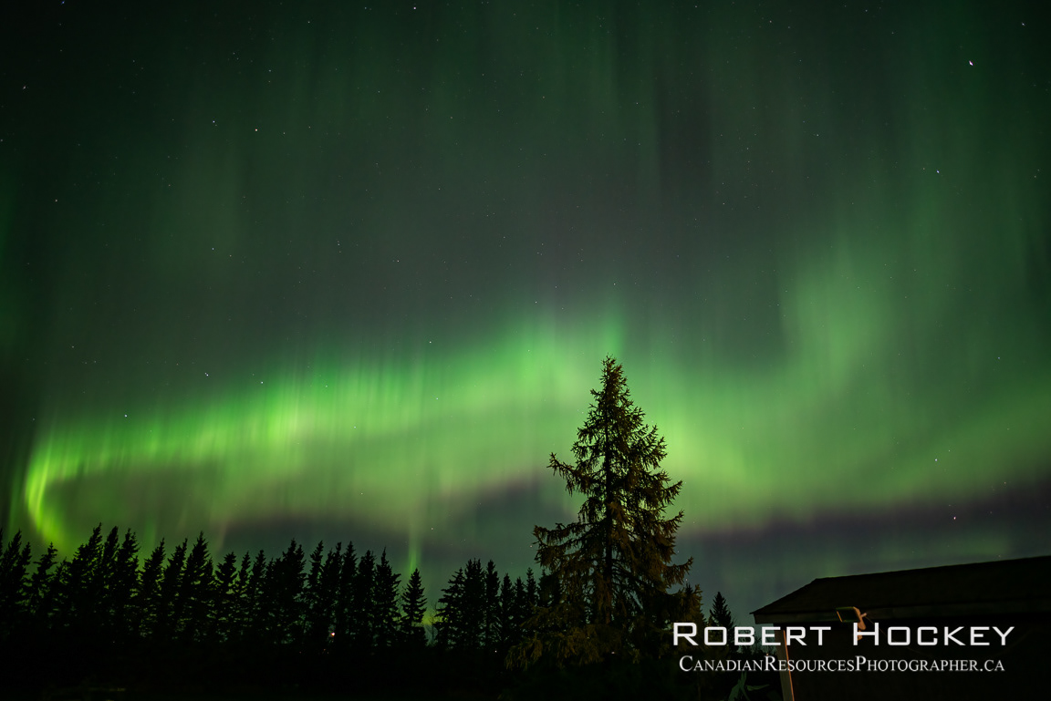 Aurora at home - Picture 202