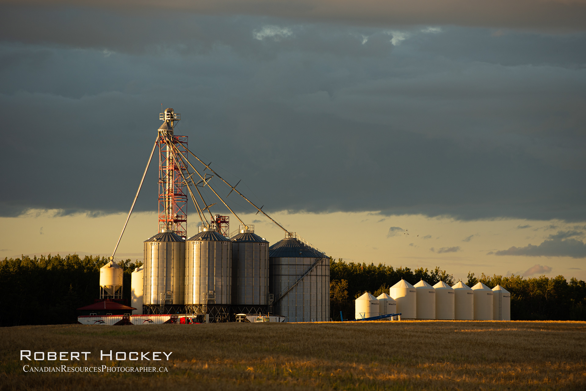 Filling Up The Grainery - Picture 186