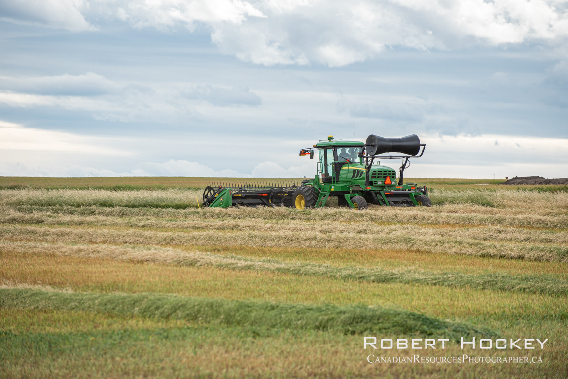 John Deere Swath Silage 3 - Picture 148