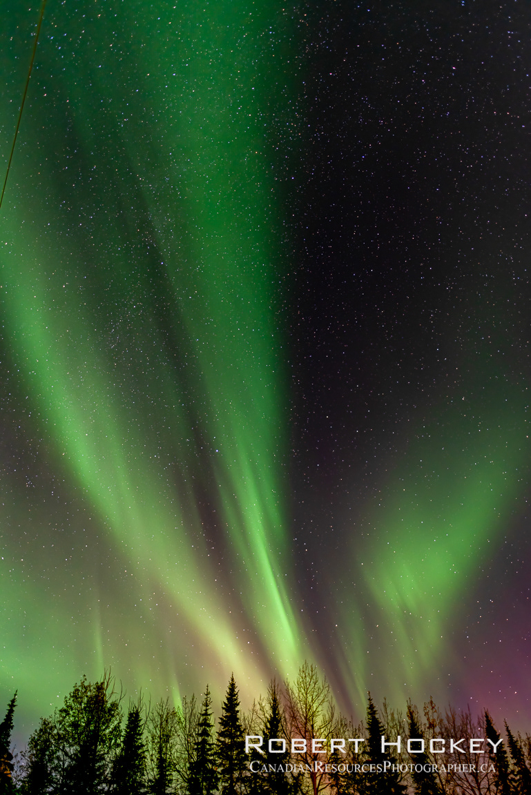 Aurora at home - Picture 198