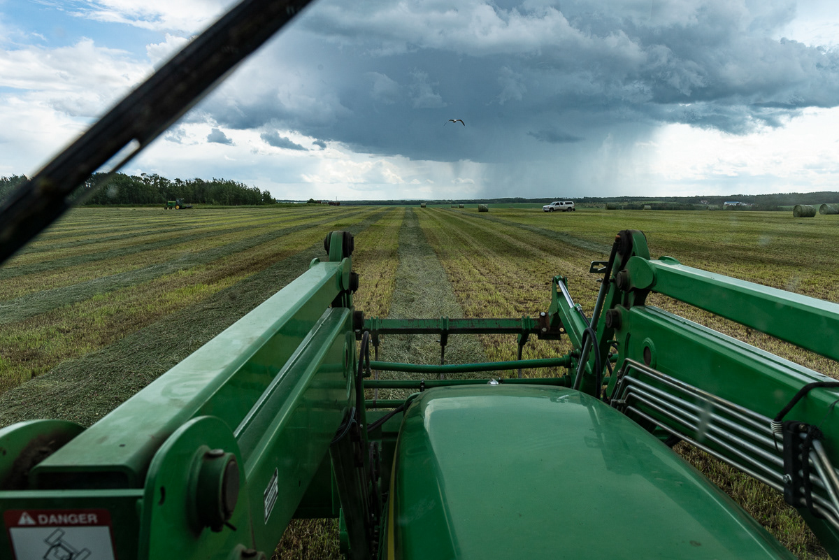 Bailing, Grande Prairie, AB.
