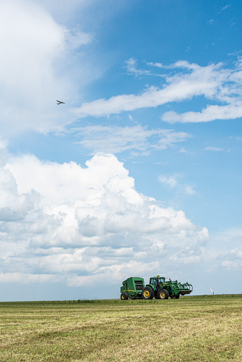 Bailing By Airport, Grande Prairie, AB.