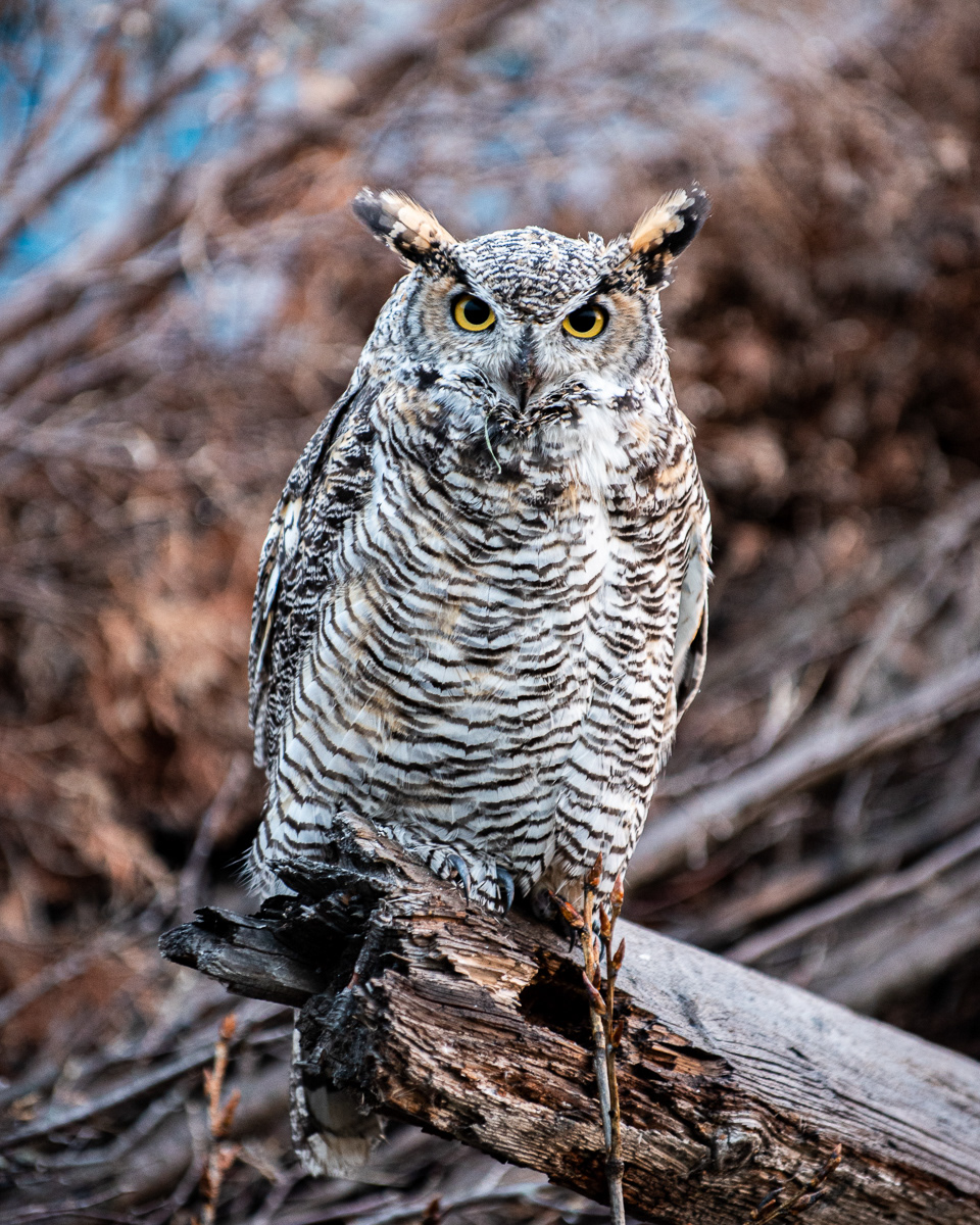Natures Patient Model, My Place, Grande Prairie, AB