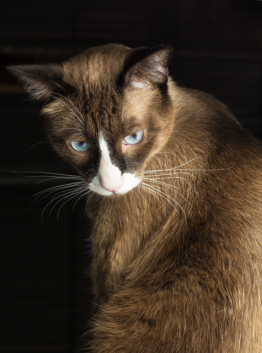 Saroo en pose boudoir