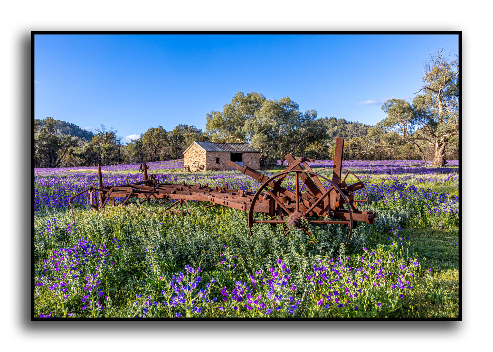 Old Wilpena Station, Wilpena Pound