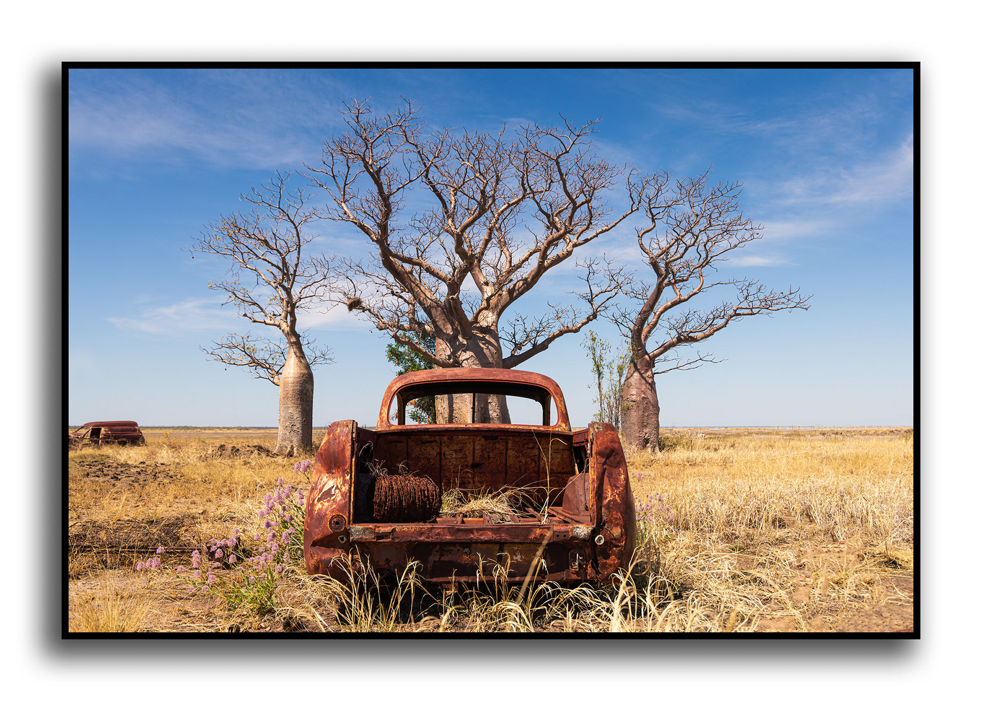 Boabs and Rusty cars, Derby, WA