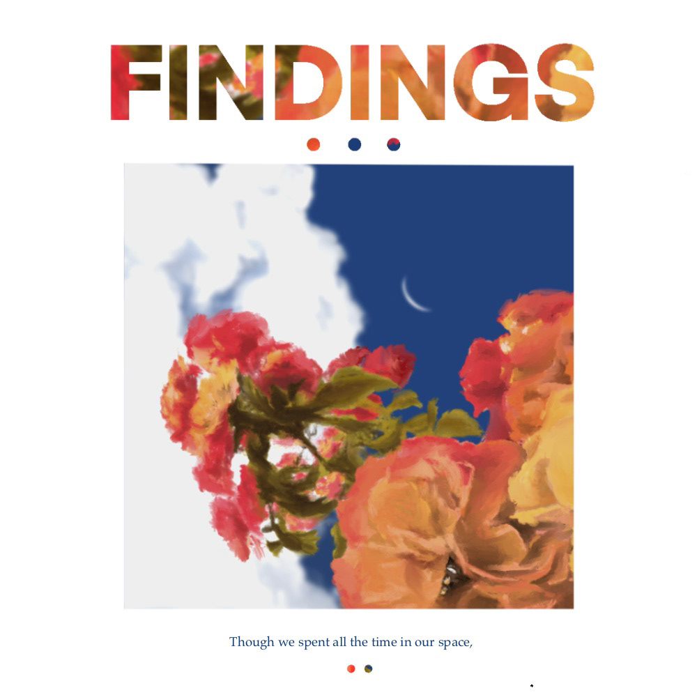 EUMIN - Findings