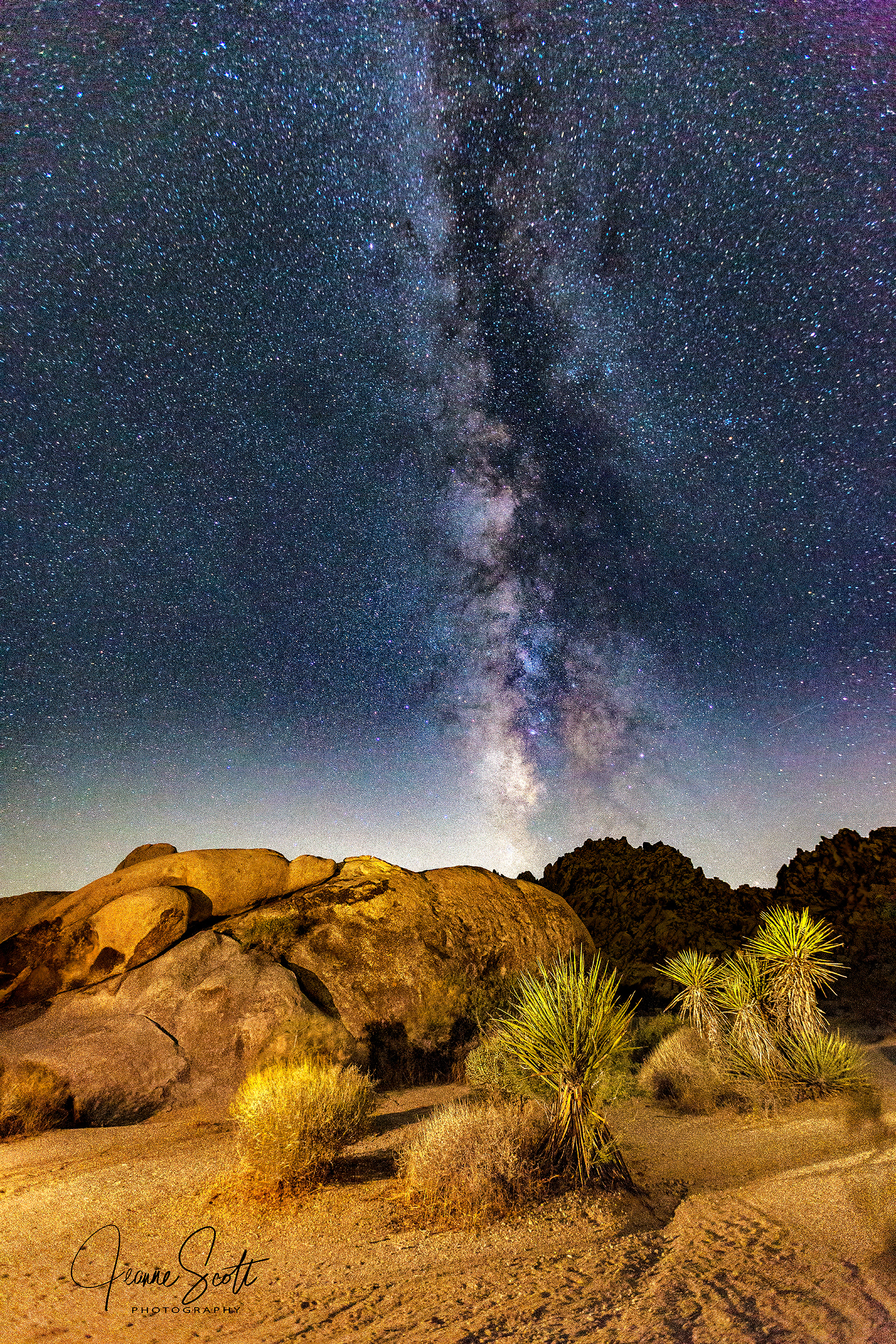 Milky Way with Yuccas, Joshua Tree National Park, California