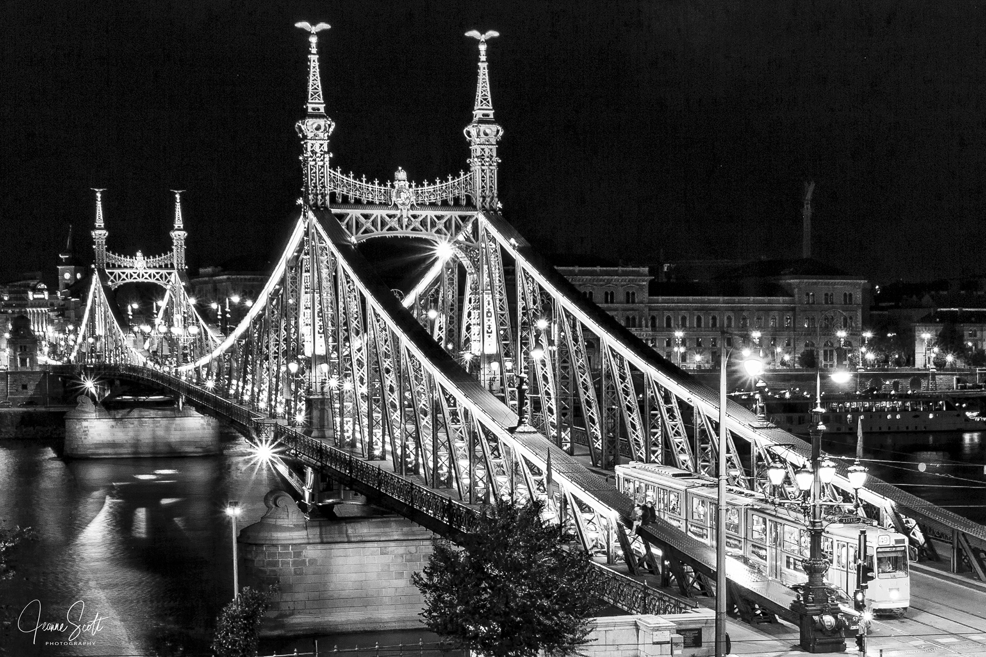 Freedom Bridge with Tram, Budapest, Hungary