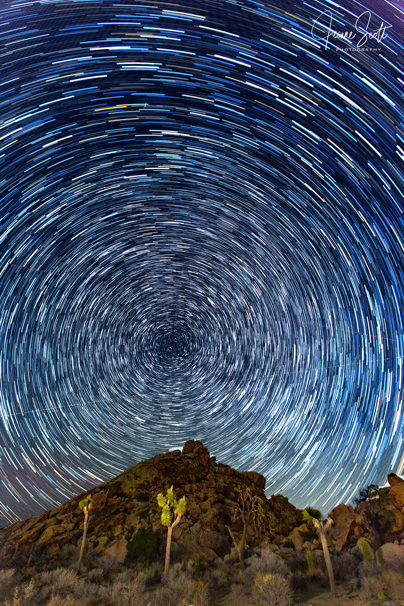 Star trails, Joshua Tree National Park