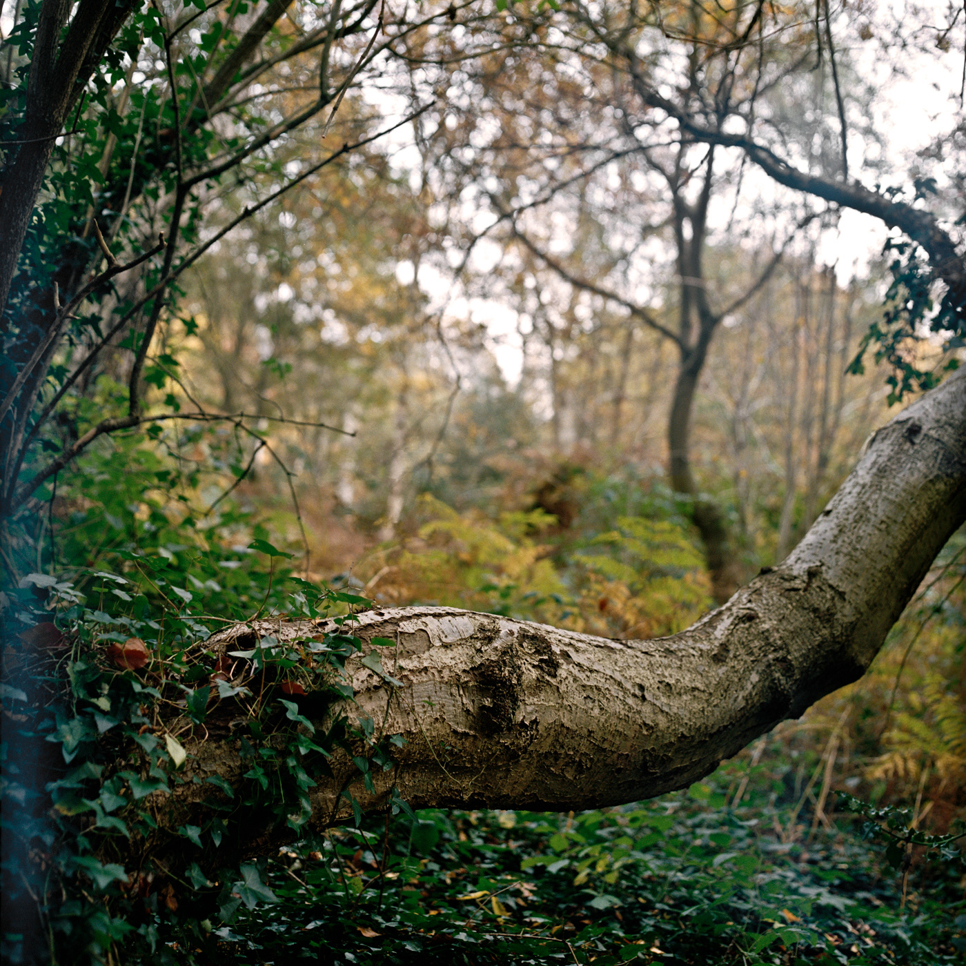 Hide and Seek, London College of Fashion project on medium format analog camera
