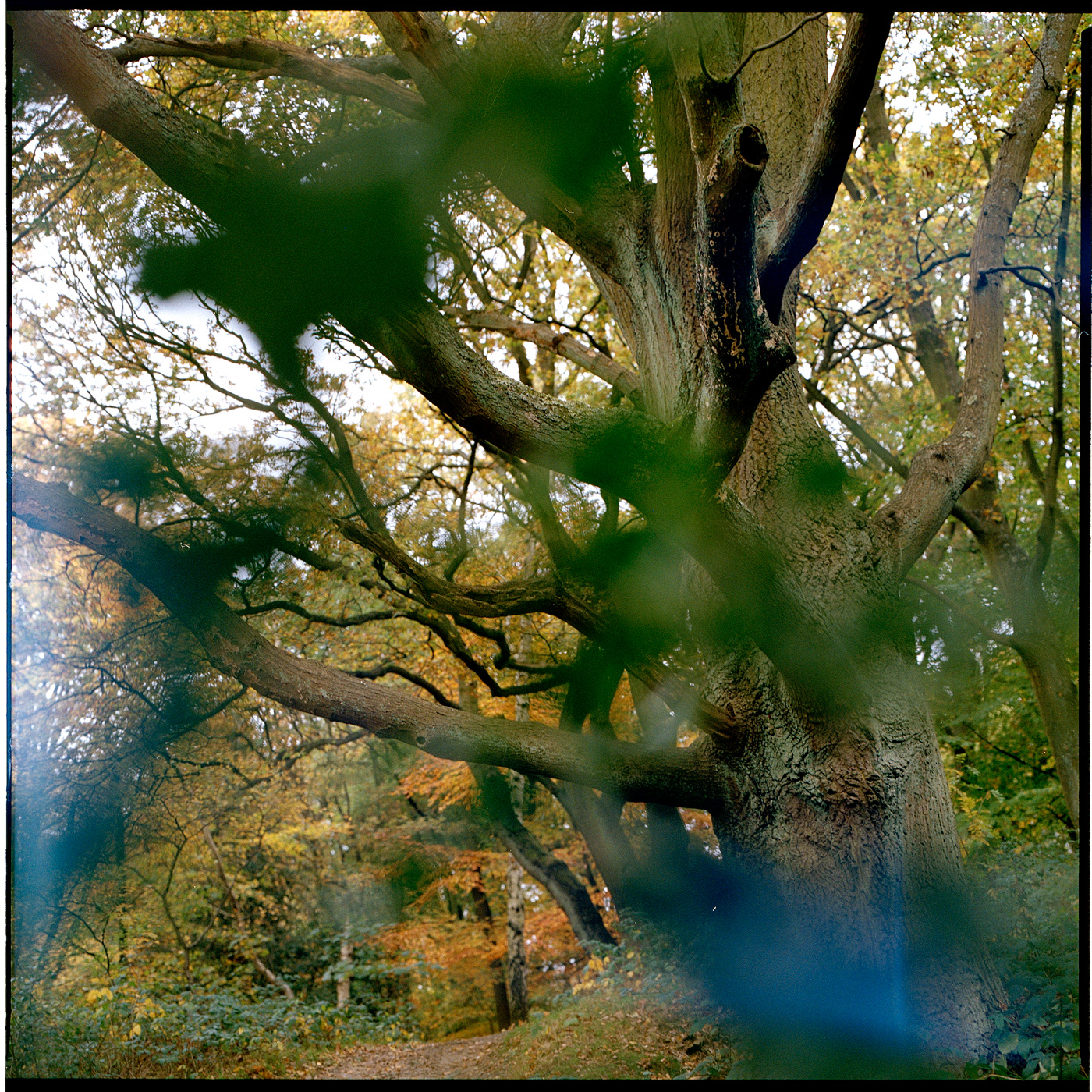 Hide and Seek, London College of Fashion project on medium format analog camera