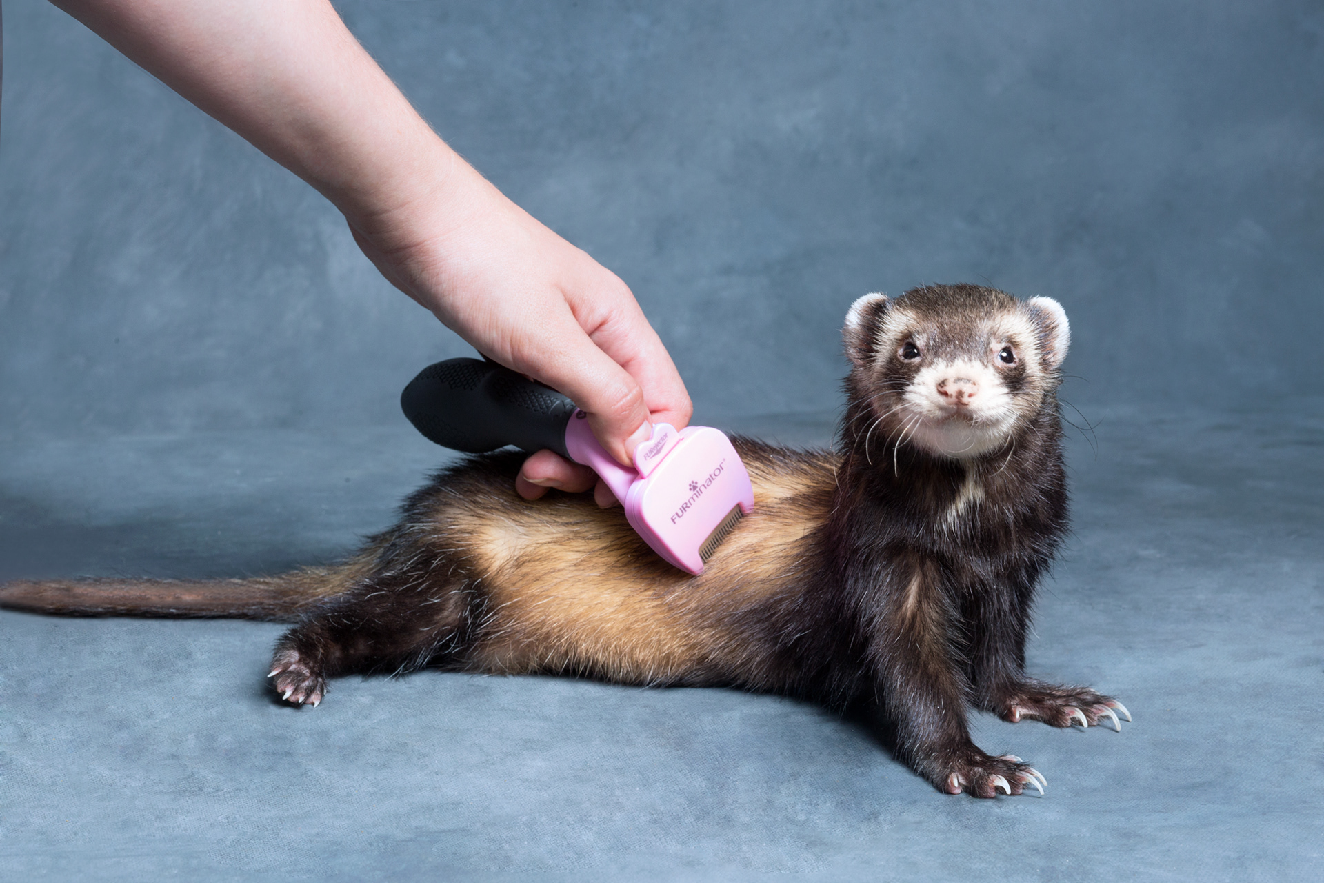 Furminator