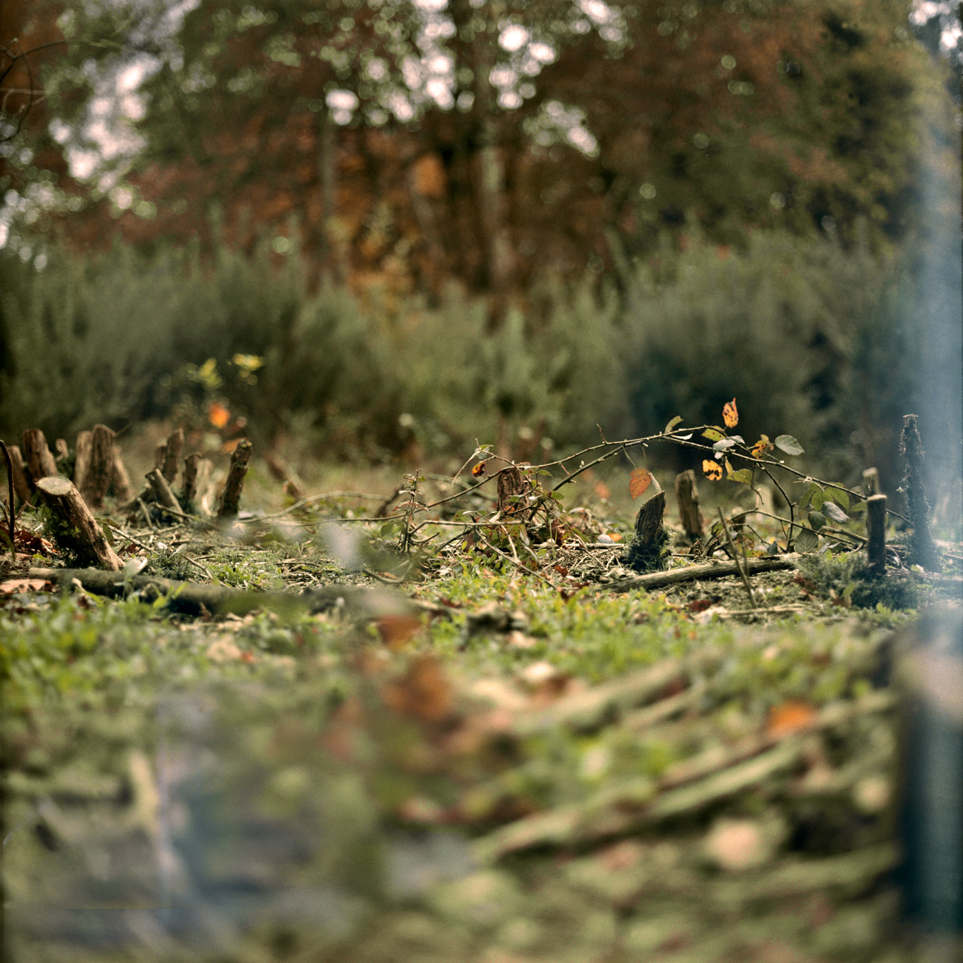Hide and Seek, London College of Fashion project on medium format analog camera