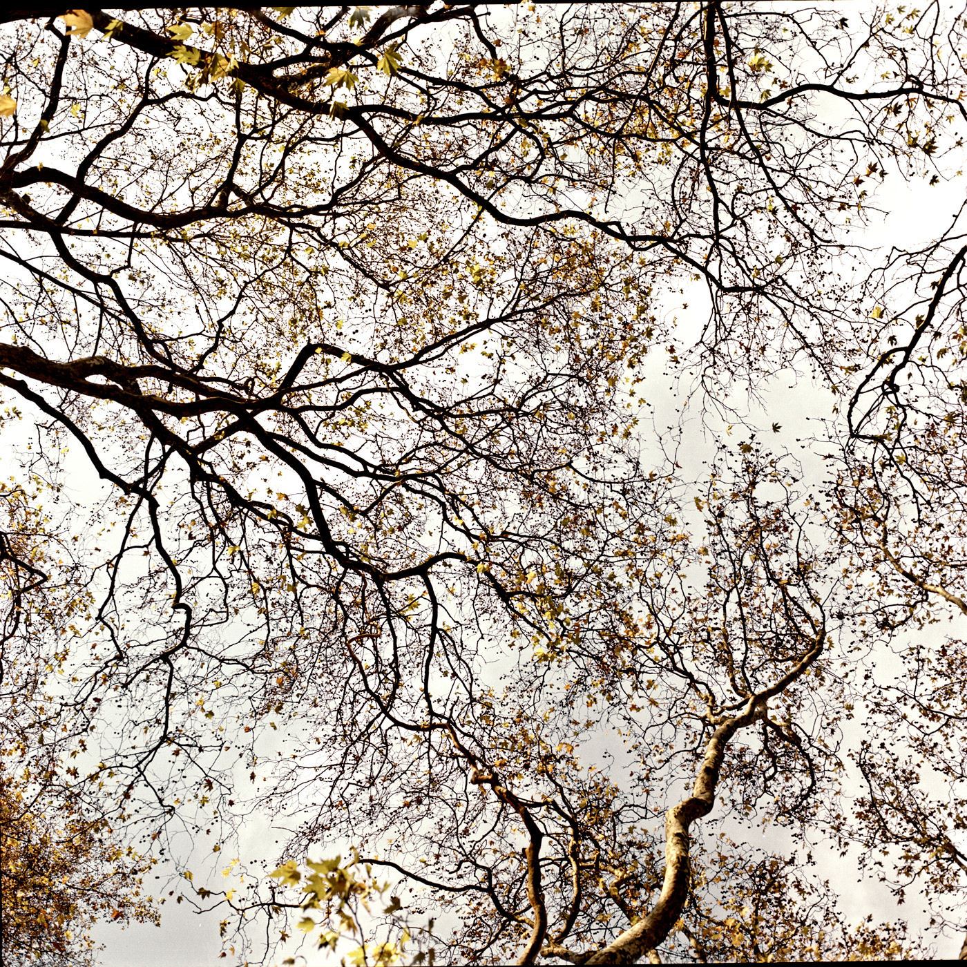 Hide and Seek, London College of Fashion project on medium format analog camera