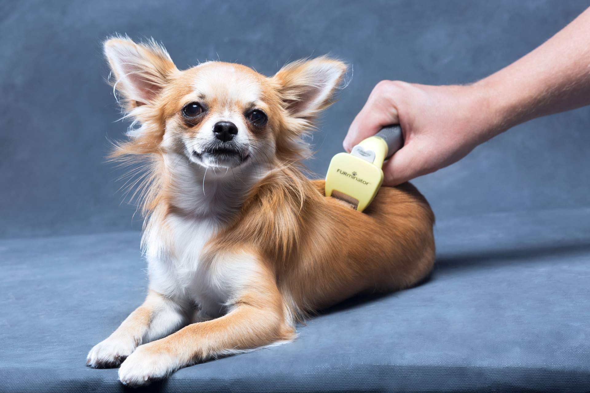 Furminator