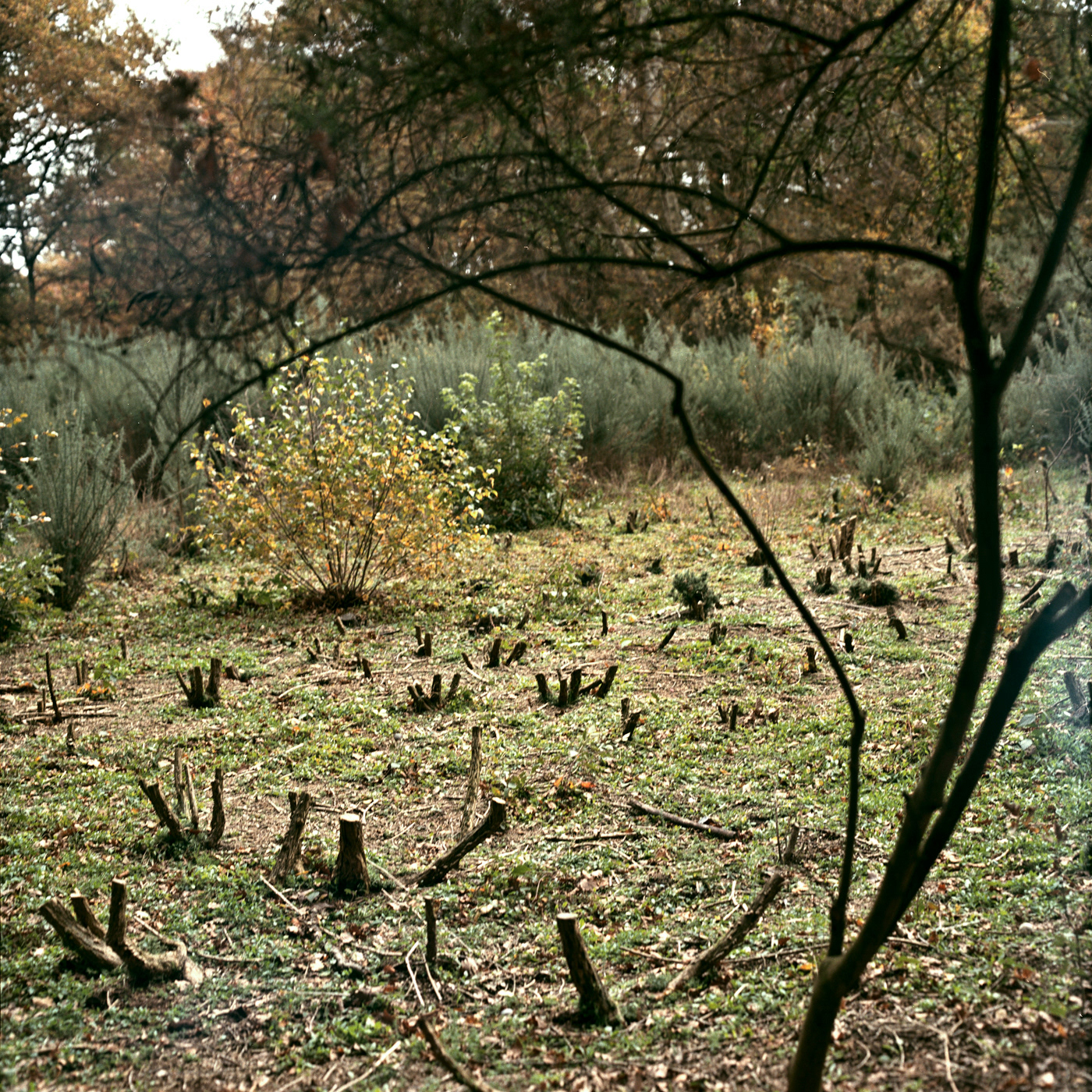 Hide and Seek, London College of Fashion project on medium format analog camera