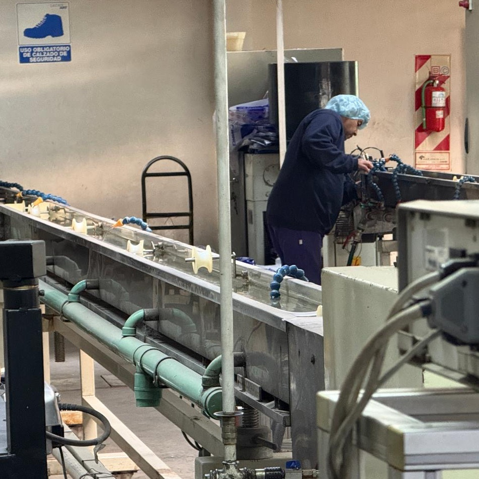 "Operario trabajando en una línea de producción industrial, realizando tareas de ajuste en una máquina. Lleva cofia sanitaria y uniforme de trabajo. En primer plano se observa parte de la maquinaria y un cartel que indica el uso obligatorio de calzado de seguridad."