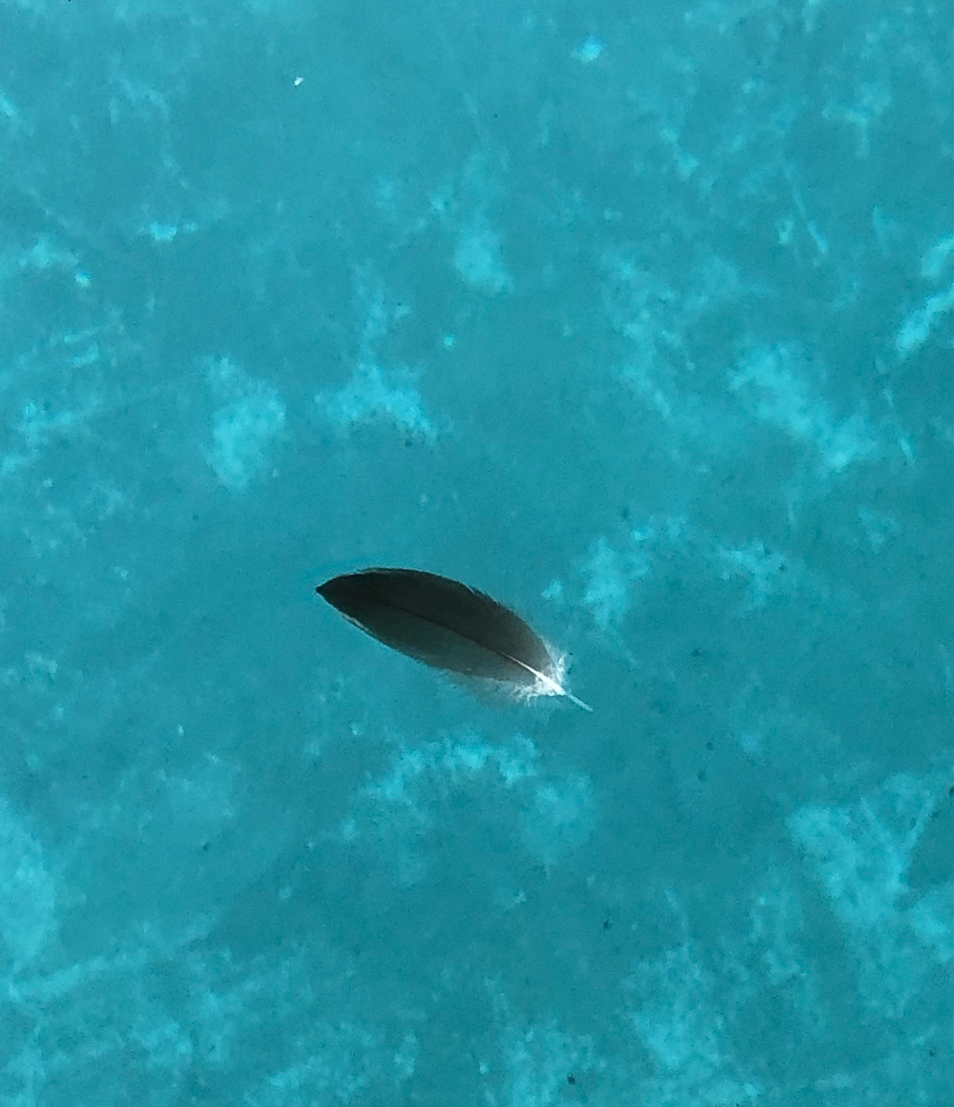 Floating on Water